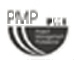 PMP PIN